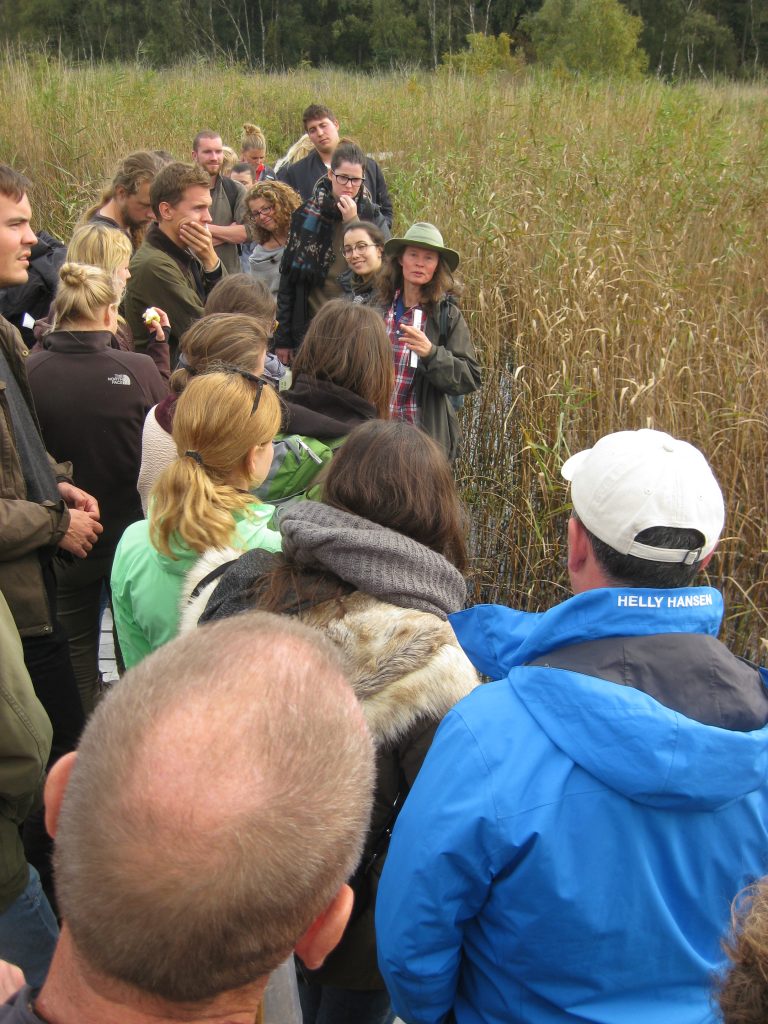 Students at boardwalk_In the reeds_ Bastemose in Denmark